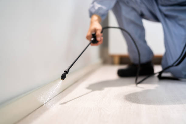 Licensed Mosquito Control service in Occoquan, VA - Show Me Pest Control