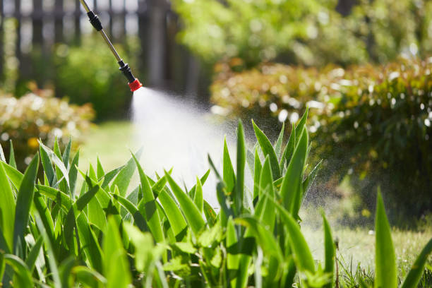24/7 Emergency Mosquito Control experts in Occoquan, VA