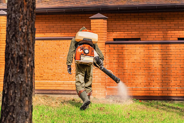 Top rated local Mosquito Control specialists in Occoquan, VA